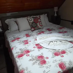 https://casa-alternativa-familia-bonfim2.santa-catarina-brasil.com
